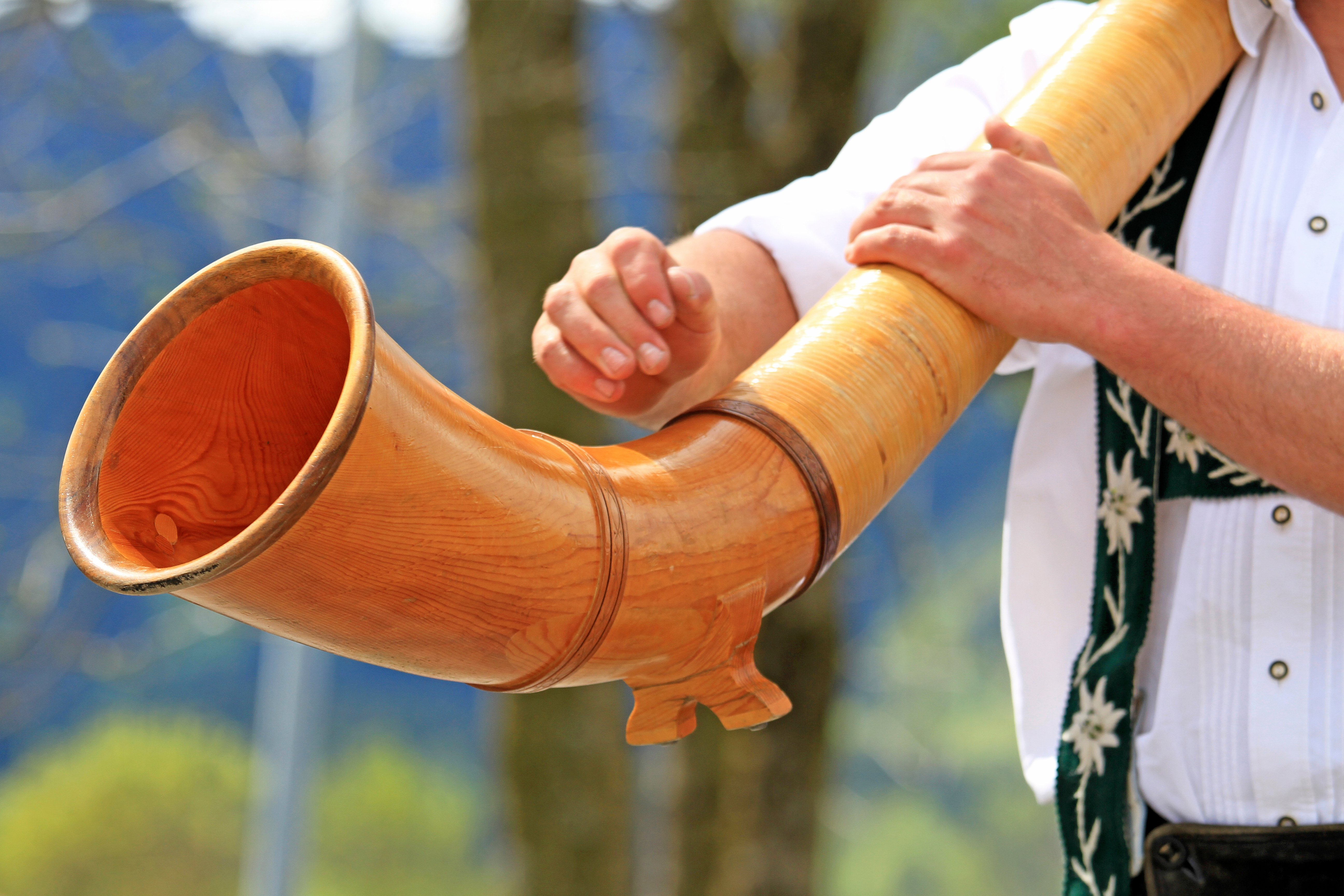  Alphorn